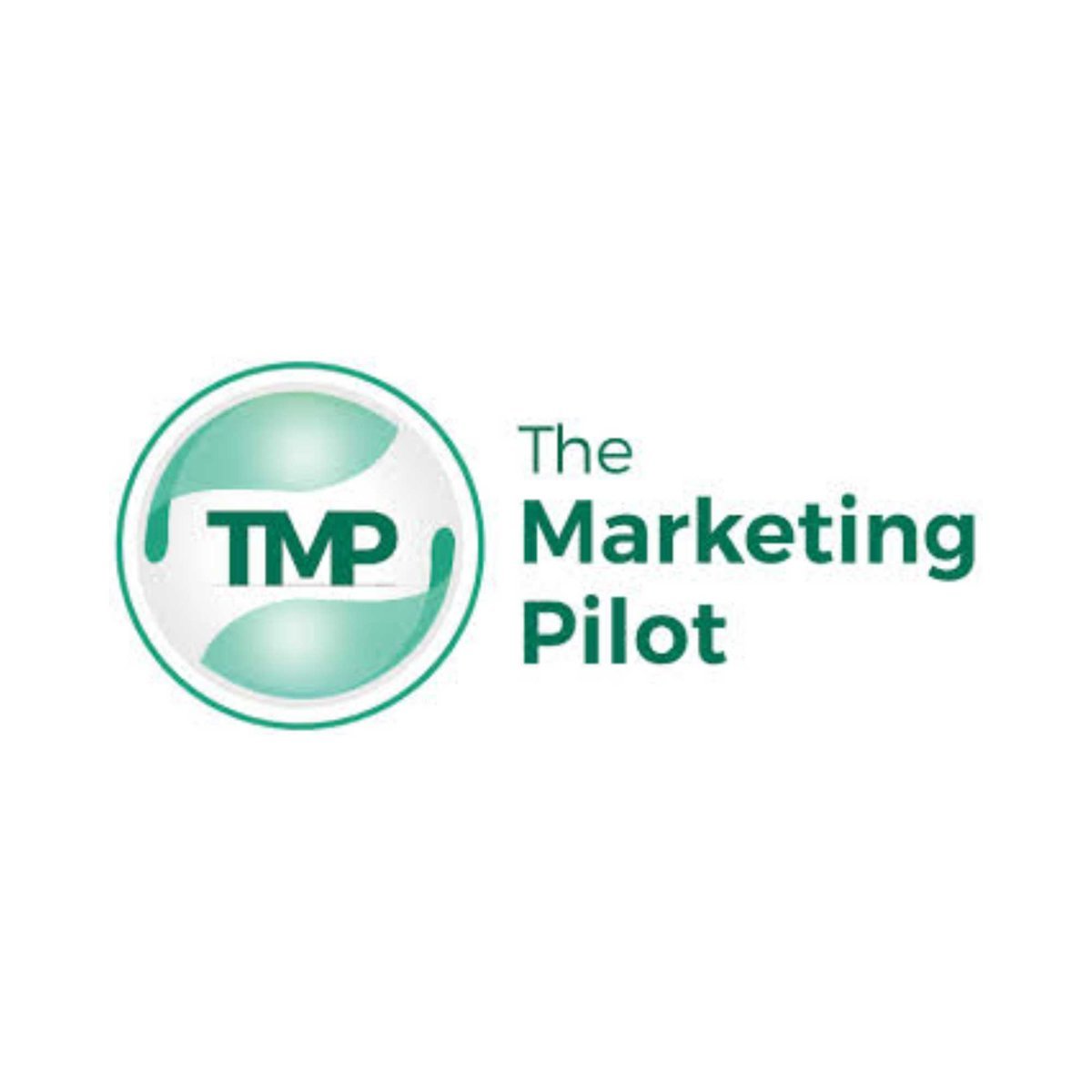 The Marketing Pilot