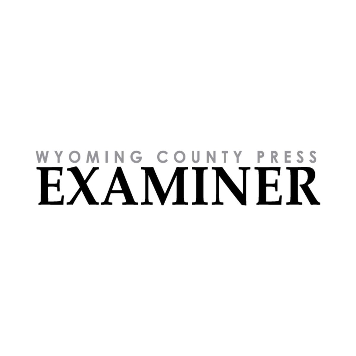 WC Examiner